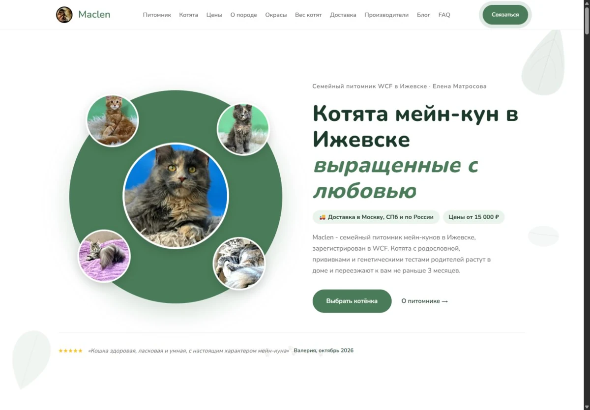 Реальный сайт Maclen